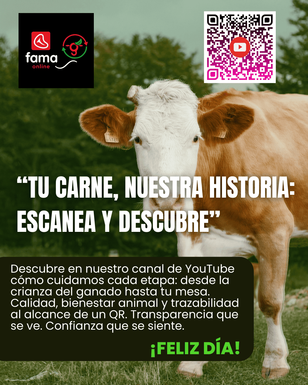 ¡Conoce los cuidados de la carne que consumes!